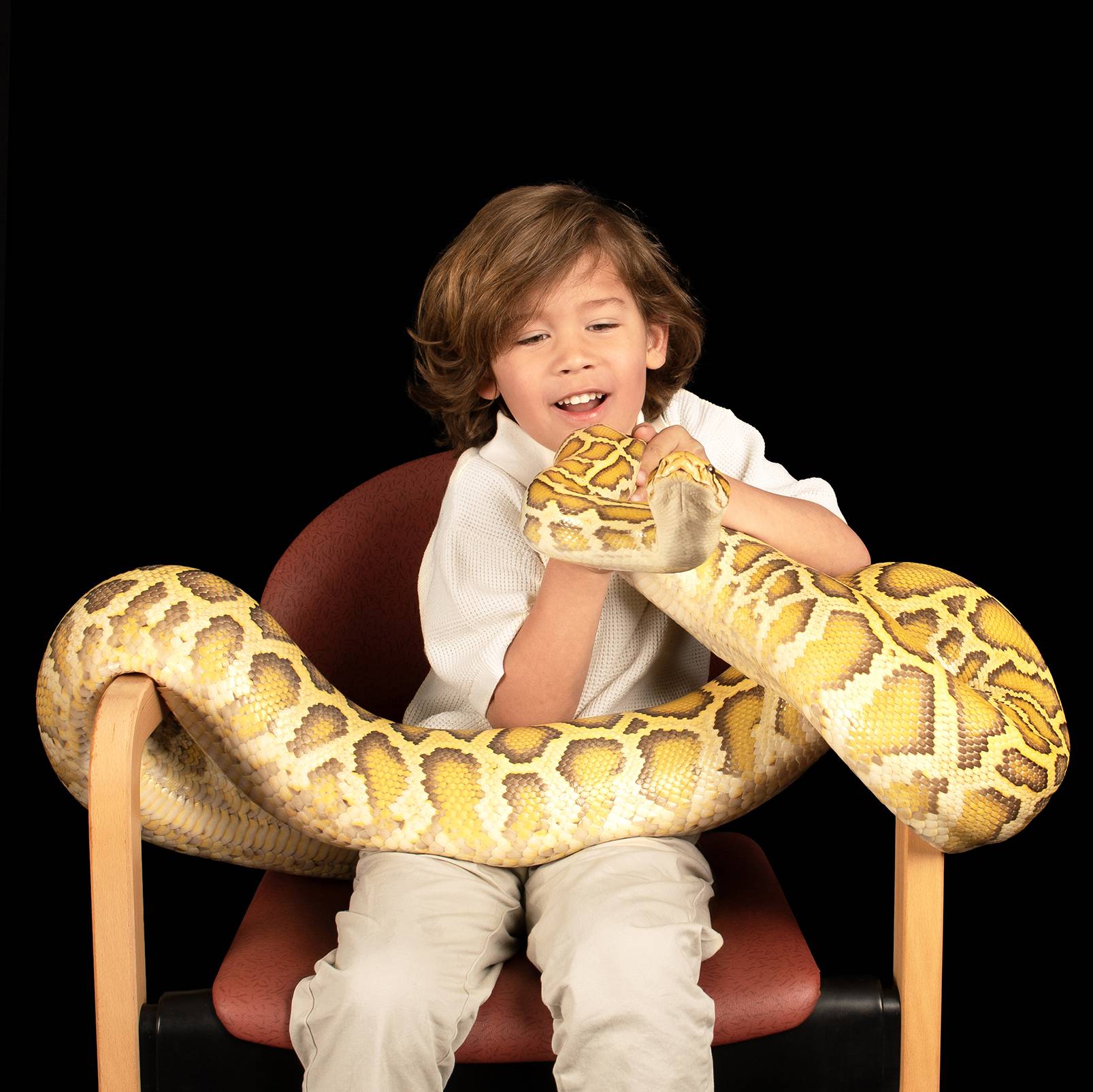 Een jongen zittend op een stoel met een tijgerpython op zijn schoot.