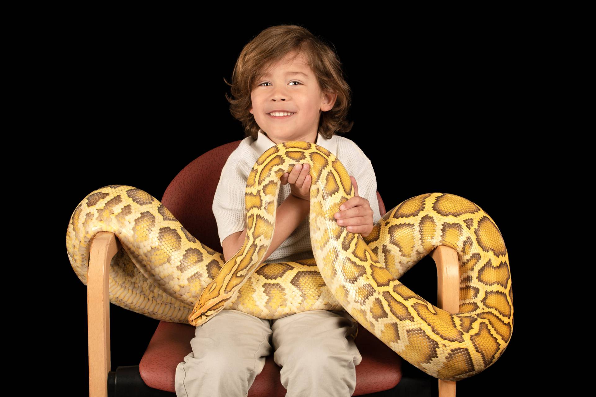 Een jongen zittend op een stoel met een tijgerpython op zijn schoot.